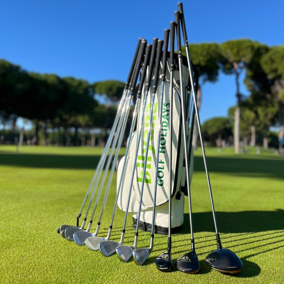 https://www.bilyanagolf.fr/files/imaj/clubhire1.jpg