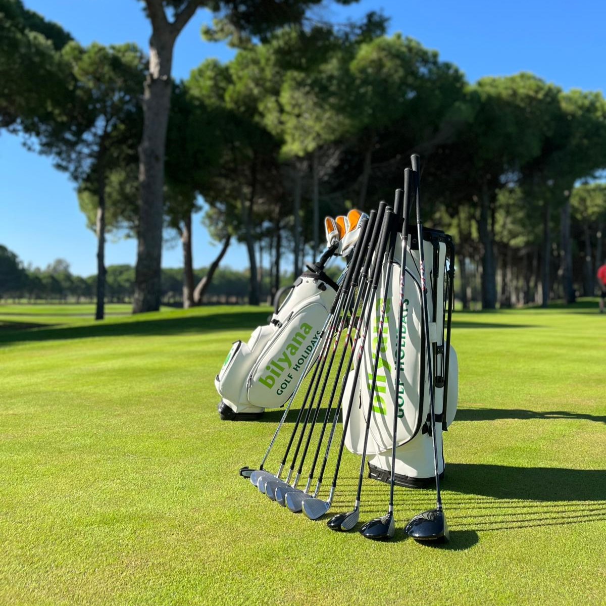 https://www.bilyanagolf.fr/files/imaj/clubhire3.jpg